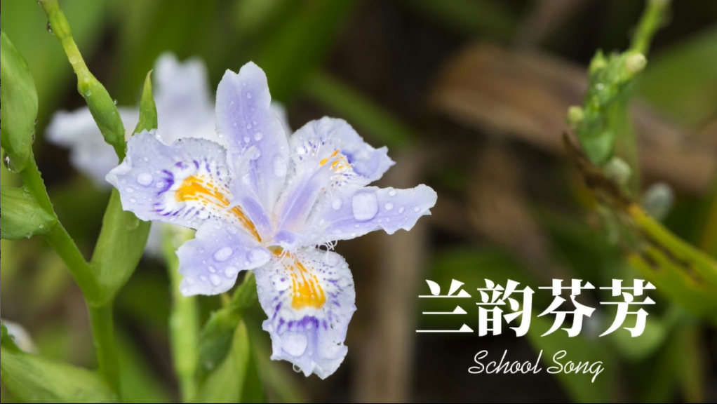 校园文化建设丨兰韵芬芳——六盘水市钟山区第一小学校歌