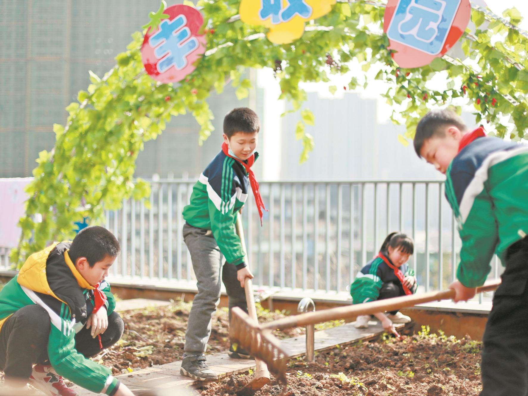 把劳动的种子深埋在孩子的心中一一学校劳动教育基地文化